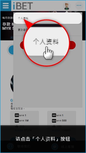 iBET手机版新手指南-红利赠点记录查询-个人资料