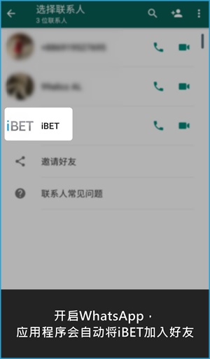 iBET教您使用WhatsApp联络客服 - 手机版 - 成功添加