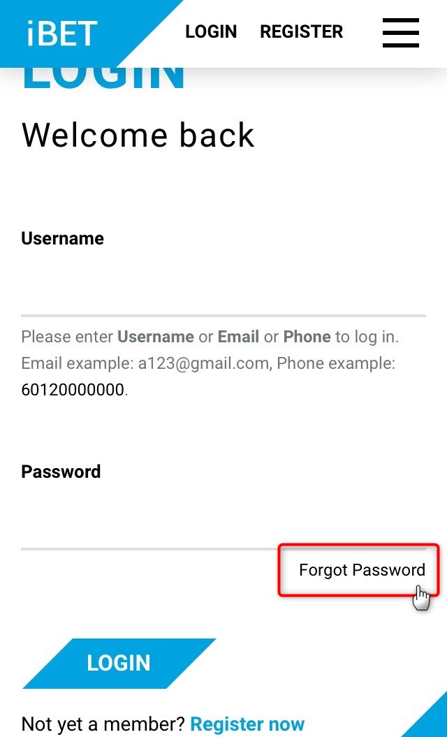 Before logging in, select ‘Forgot Password’.