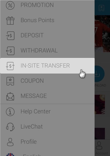 Select ‘IN-SITE TRANSFER’ from the side menu after logging in.