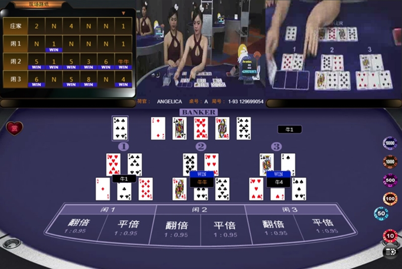 An Introduction to Niu Niu