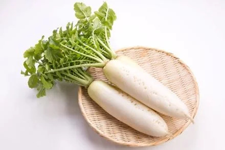 Radish