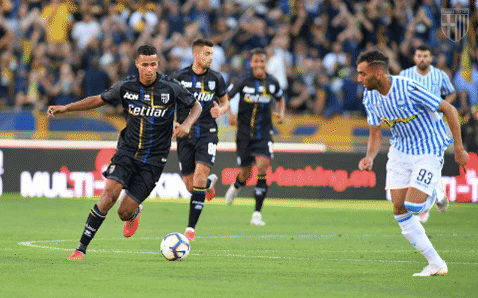 Why You Should Always Choose Cash Betting Over Credit Betting-sportsbook