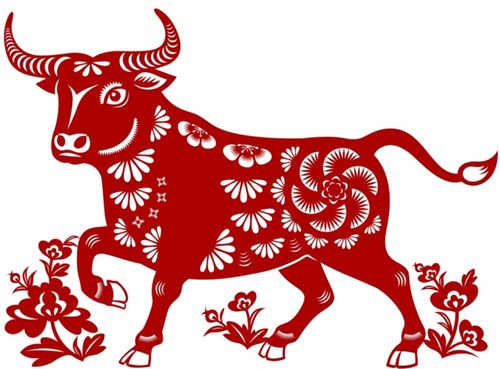 Top 5 Financially Auspicious Zodiac - Ox